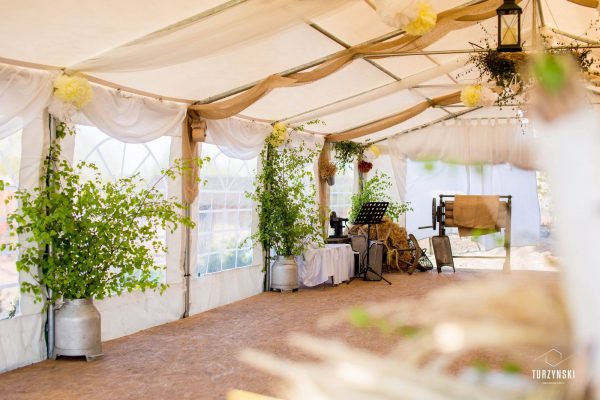 17038470_1815093168740423_8882964160988228620_o