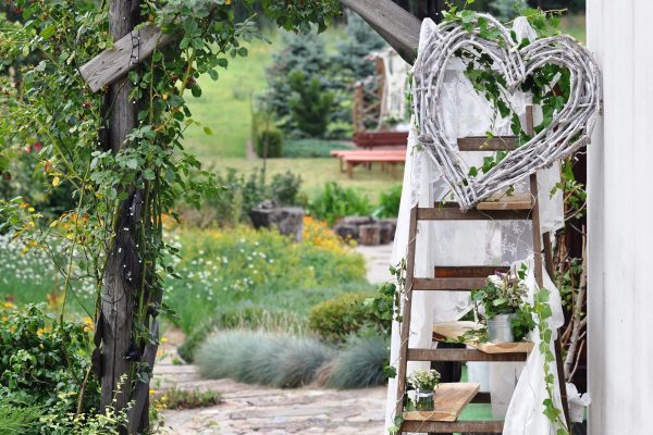 69083080_2340272402889161_7900164661033566208_o