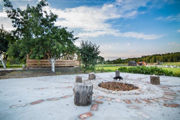 IMG_0755-Kopiowanie-1024x683